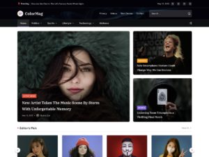 100 лучших адаптивных шаблонов WordPress 2026 года для разных тематик